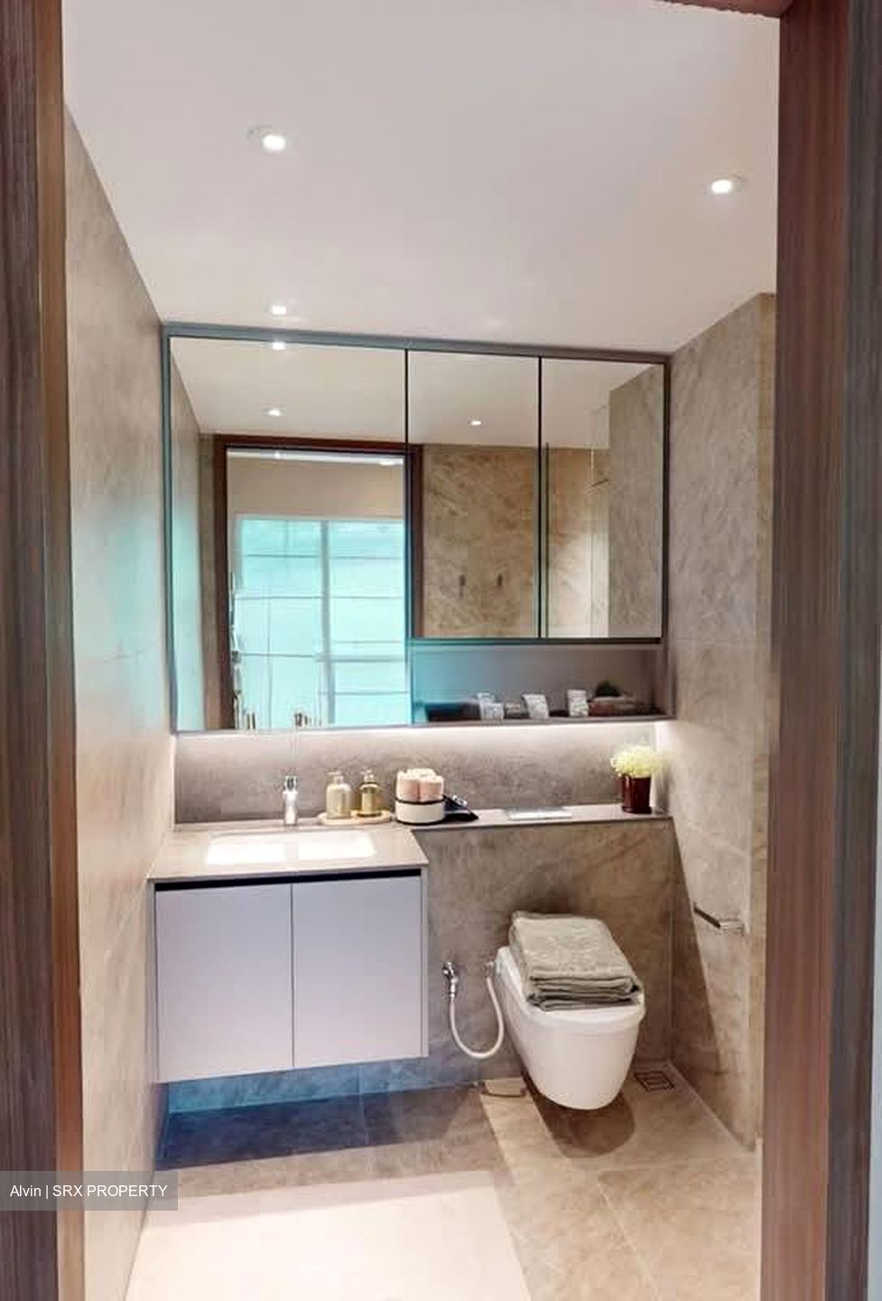 Dunearn Road (D11), Condominium #590425191
